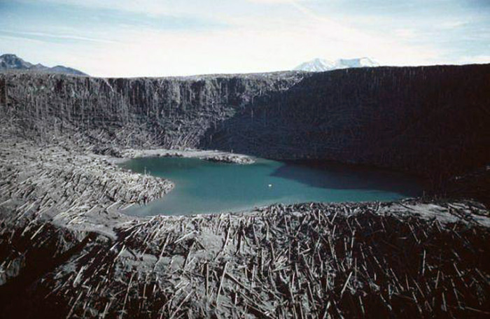 Последствия извержения Сент-Хеленс, 1980 г.